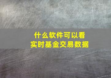 什么软件可以看实时基金交易数据