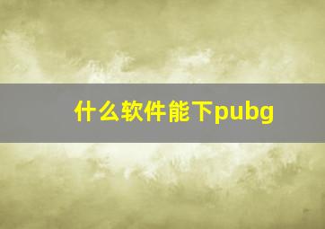 什么软件能下pubg