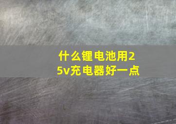 什么锂电池用25v充电器好一点