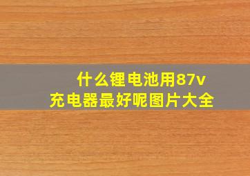 什么锂电池用87v充电器最好呢图片大全