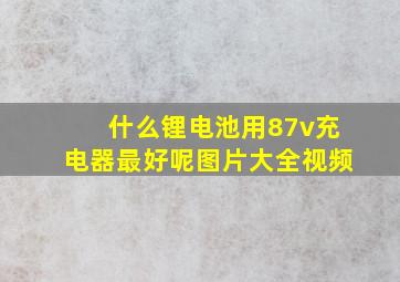 什么锂电池用87v充电器最好呢图片大全视频