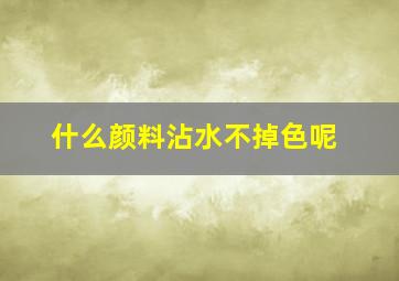 什么颜料沾水不掉色呢