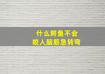 什么鳄鱼不会咬人脑筋急转弯