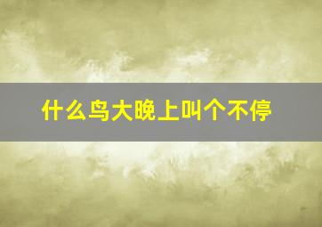 什么鸟大晚上叫个不停