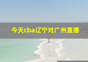 今天cba辽宁对广州直播