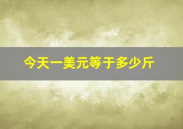 今天一美元等于多少斤