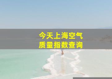 今天上海空气质量指数查询