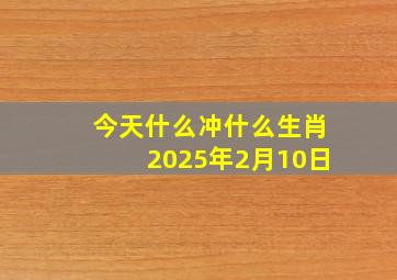 今天什么冲什么生肖2025年2月10日