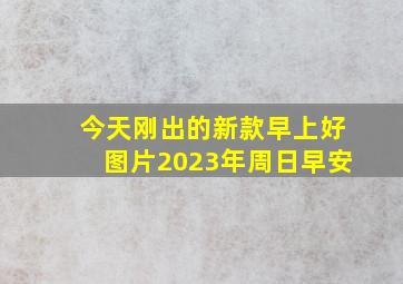 今天刚出的新款早上好图片2023年周日早安