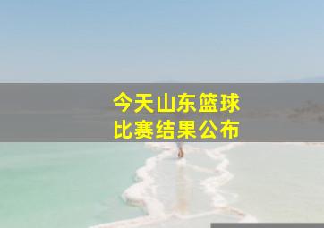 今天山东篮球比赛结果公布