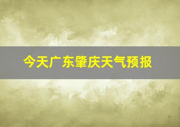 今天广东肇庆天气预报