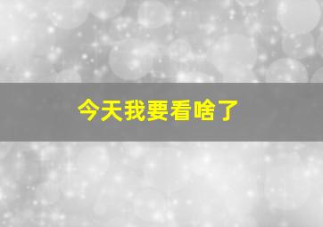 今天我要看啥了