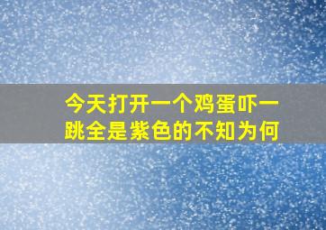 今天打开一个鸡蛋吓一跳全是紫色的不知为何