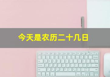 今天是农历二十几日