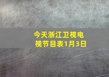 今天浙江卫视电视节目表1月3日