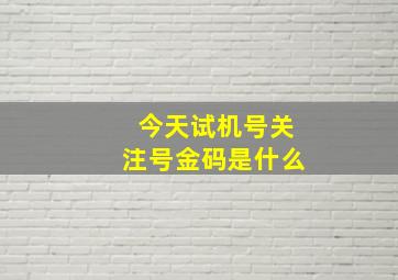 今天试机号关注号金码是什么