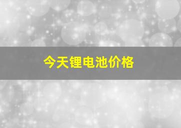 今天锂电池价格