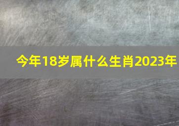 今年18岁属什么生肖2023年