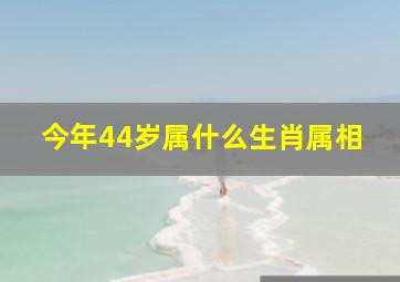 今年44岁属什么生肖属相