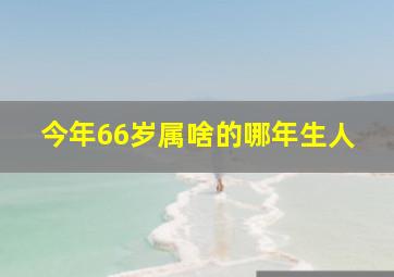 今年66岁属啥的哪年生人