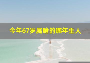 今年67岁属啥的哪年生人