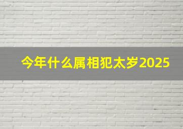 今年什么属相犯太岁2025