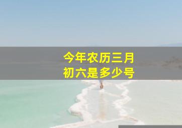 今年农历三月初六是多少号