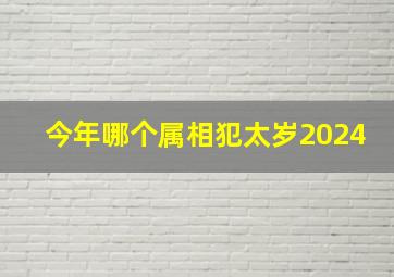 今年哪个属相犯太岁2024