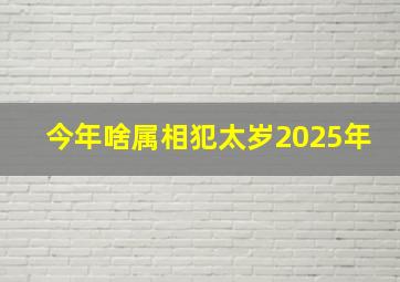 今年啥属相犯太岁2025年