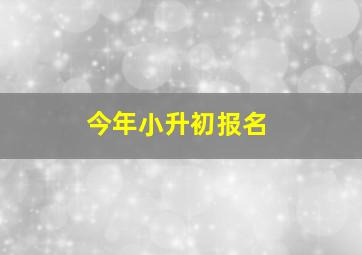 今年小升初报名