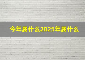 今年属什么2025年属什么