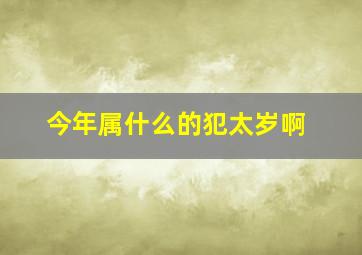 今年属什么的犯太岁啊