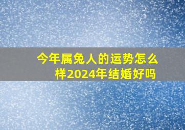 今年属兔人的运势怎么样2024年结婚好吗