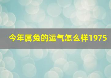 今年属兔的运气怎么样1975