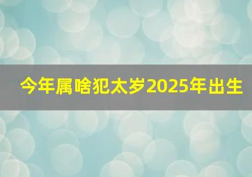 今年属啥犯太岁2025年出生