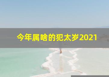 今年属啥的犯太岁2021