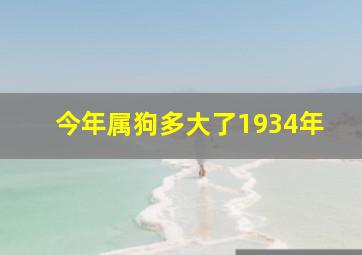 今年属狗多大了1934年