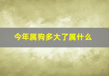 今年属狗多大了属什么