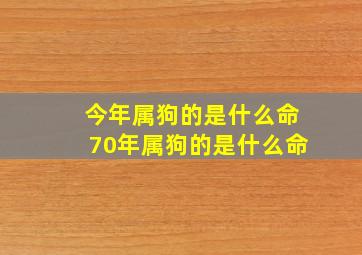 今年属狗的是什么命70年属狗的是什么命