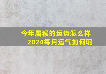 今年属猴的运势怎么样2024每月运气如何呢