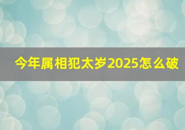 今年属相犯太岁2025怎么破