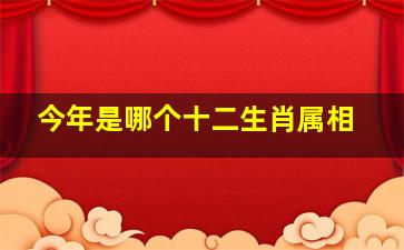 今年是哪个十二生肖属相