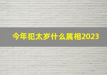 今年犯太岁什么属相2023