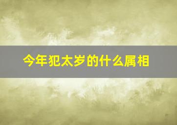 今年犯太岁的什么属相