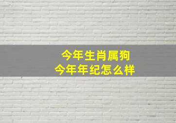 今年生肖属狗今年年纪怎么样