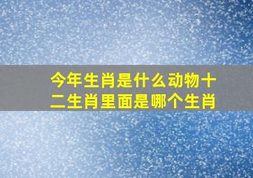 今年生肖是什么动物十二生肖里面是哪个生肖