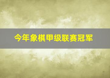 今年象棋甲级联赛冠军