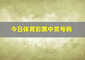 今日体育彩票中奖号码