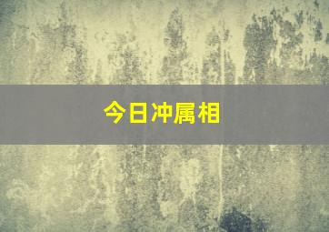 今日冲属相