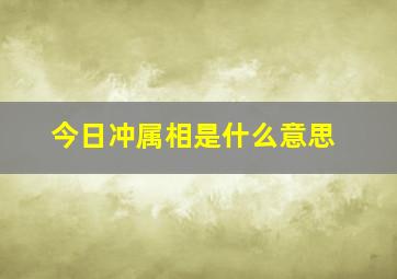 今日冲属相是什么意思